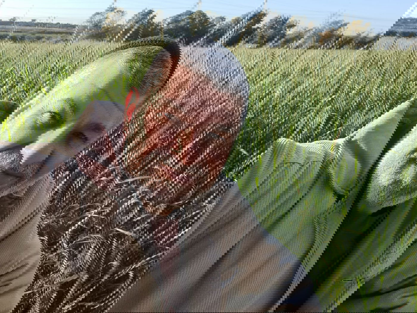 השחקן דני שטג