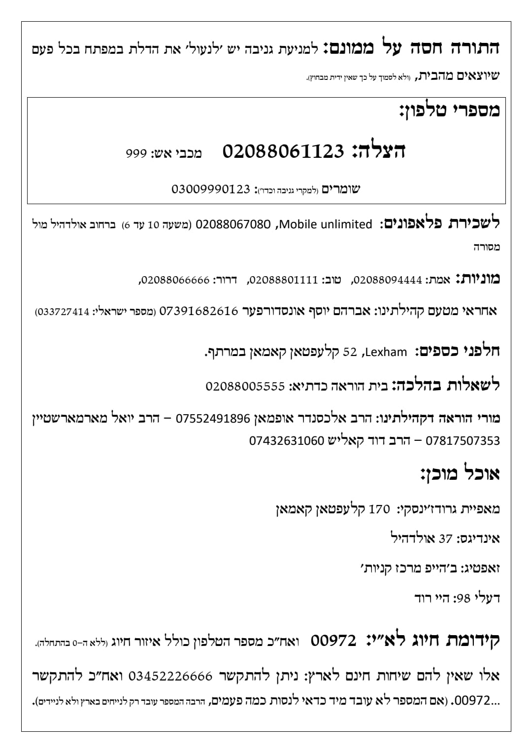 כללים ברורים לחציית כבישים: שמחת בית דושינסקיא בלונדון