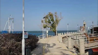 רוחות חזקות בכנרת; חניוני החופים - נסגרו | תיעוד