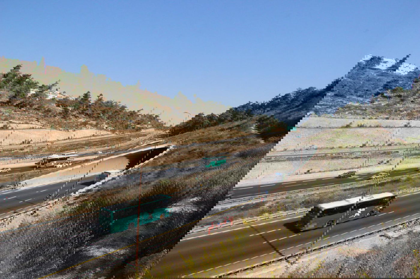 אגד ודרך אגד יפעילו מסלולים מיוחדים לציבור הנוסעים במהלך ימי הפורים