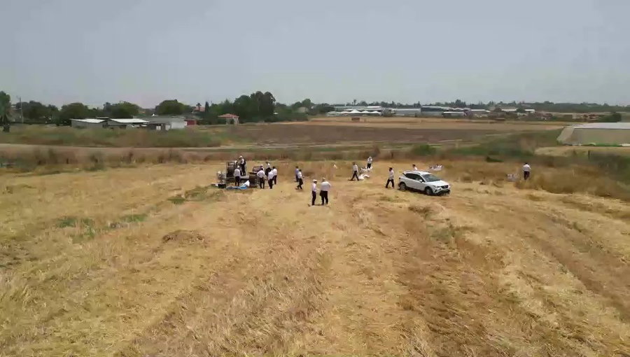 "כל כך הרבה ביקשו מהמצות האלה, לו רק היו יודעים מה עברנו עד שאפינו אותן"