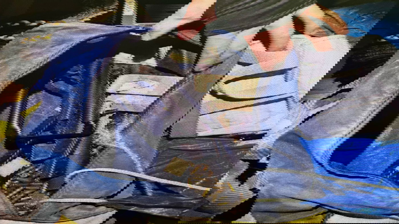 אחרי פטירת בעלה: זה מה שגילתה האלמנה בביתה בירושלים