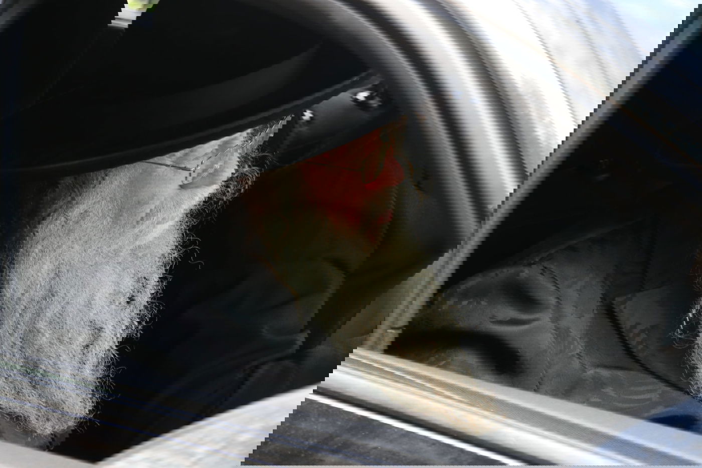 מסע הלוויית הגאון רבי זאב ברלין זצ"ל