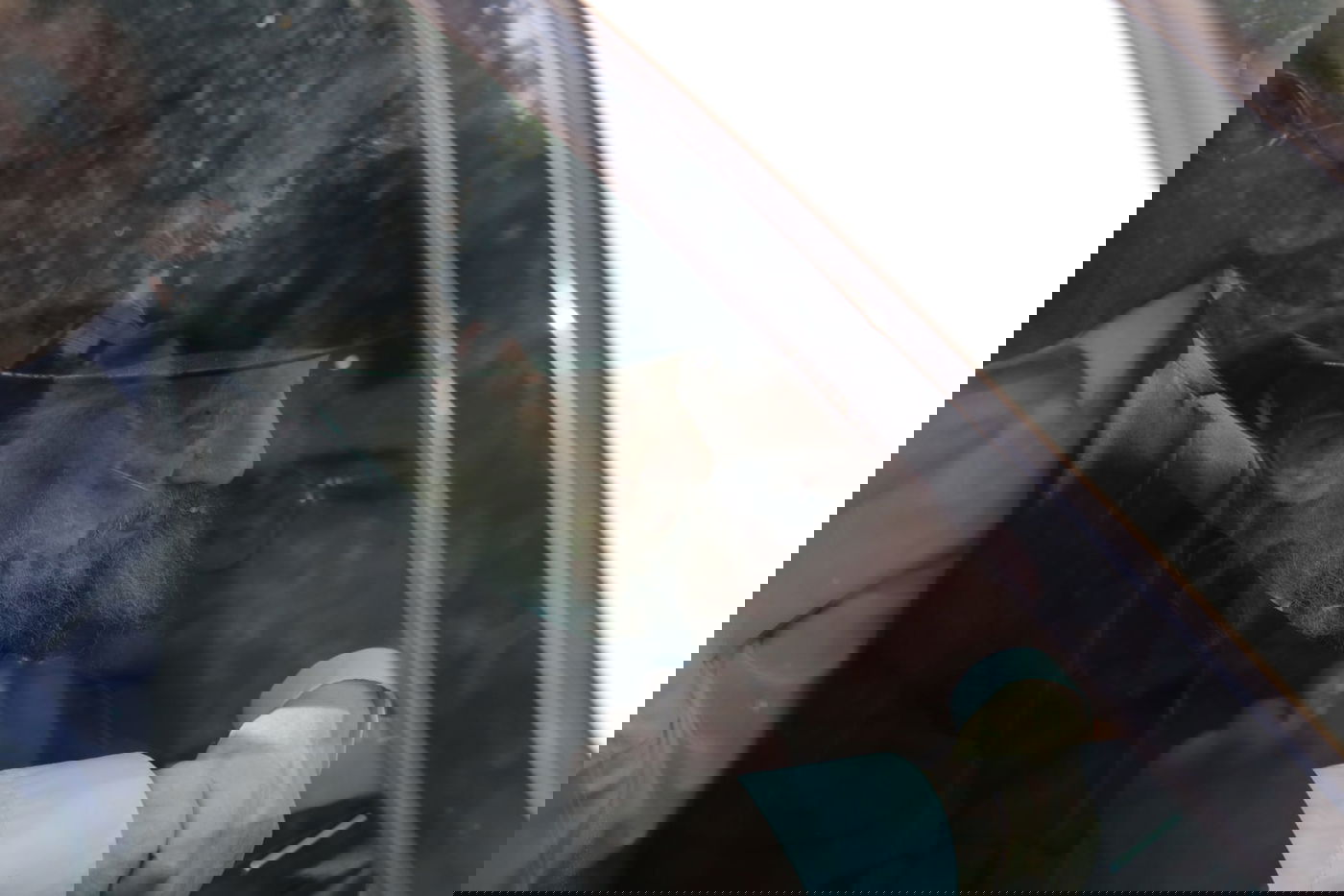 מסע הלוויית הגאון רבי זאב ברלין זצ"ל