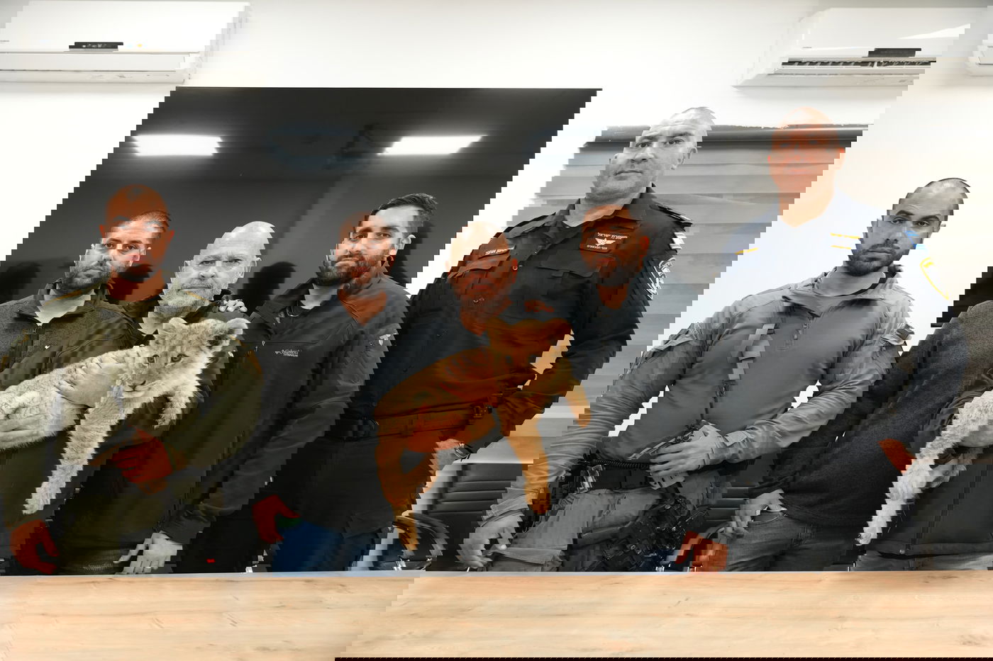 גור האריות והקופים שנתפסו