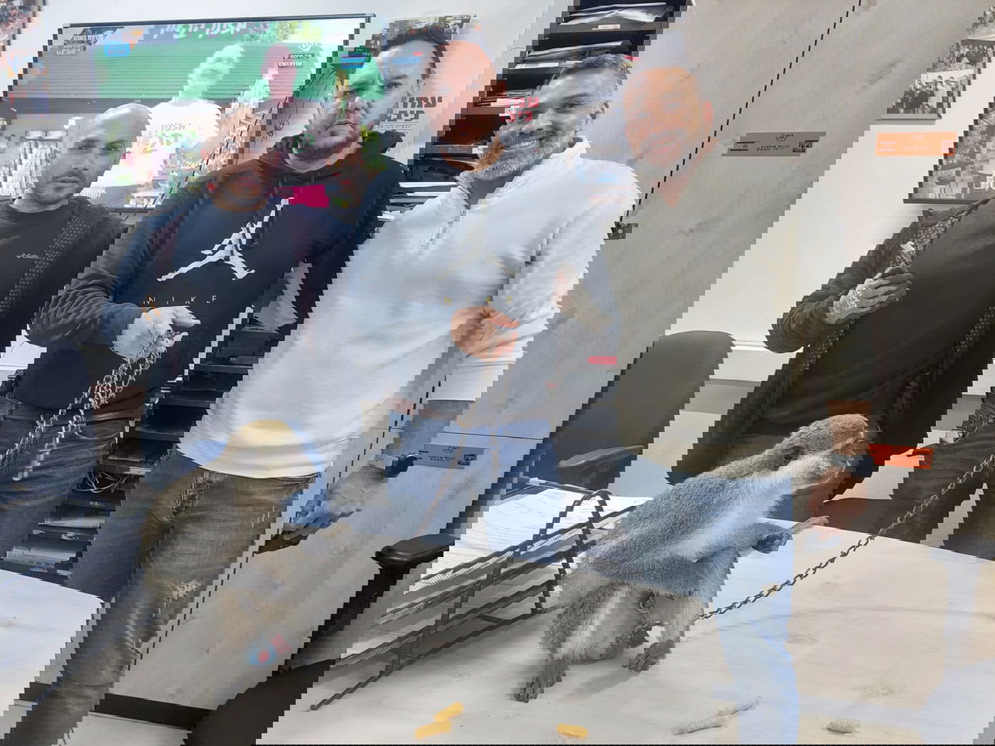 גור האריות והקופים שנתפסו