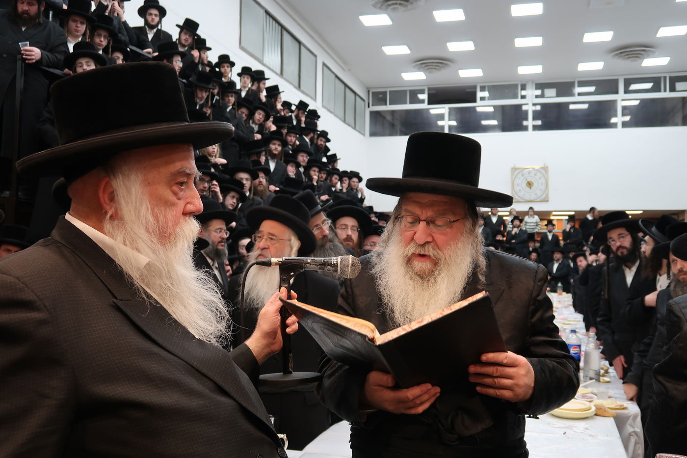 הילולא קדישא בנדבורנה