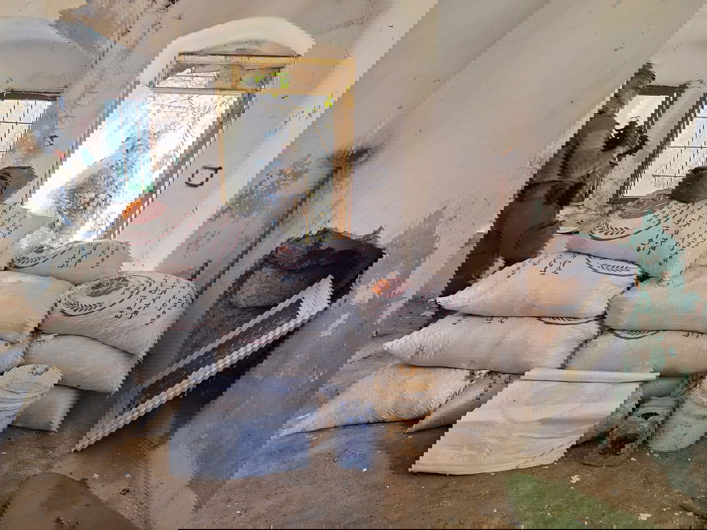 כוחות הביטחון בפעילות ביו"ש