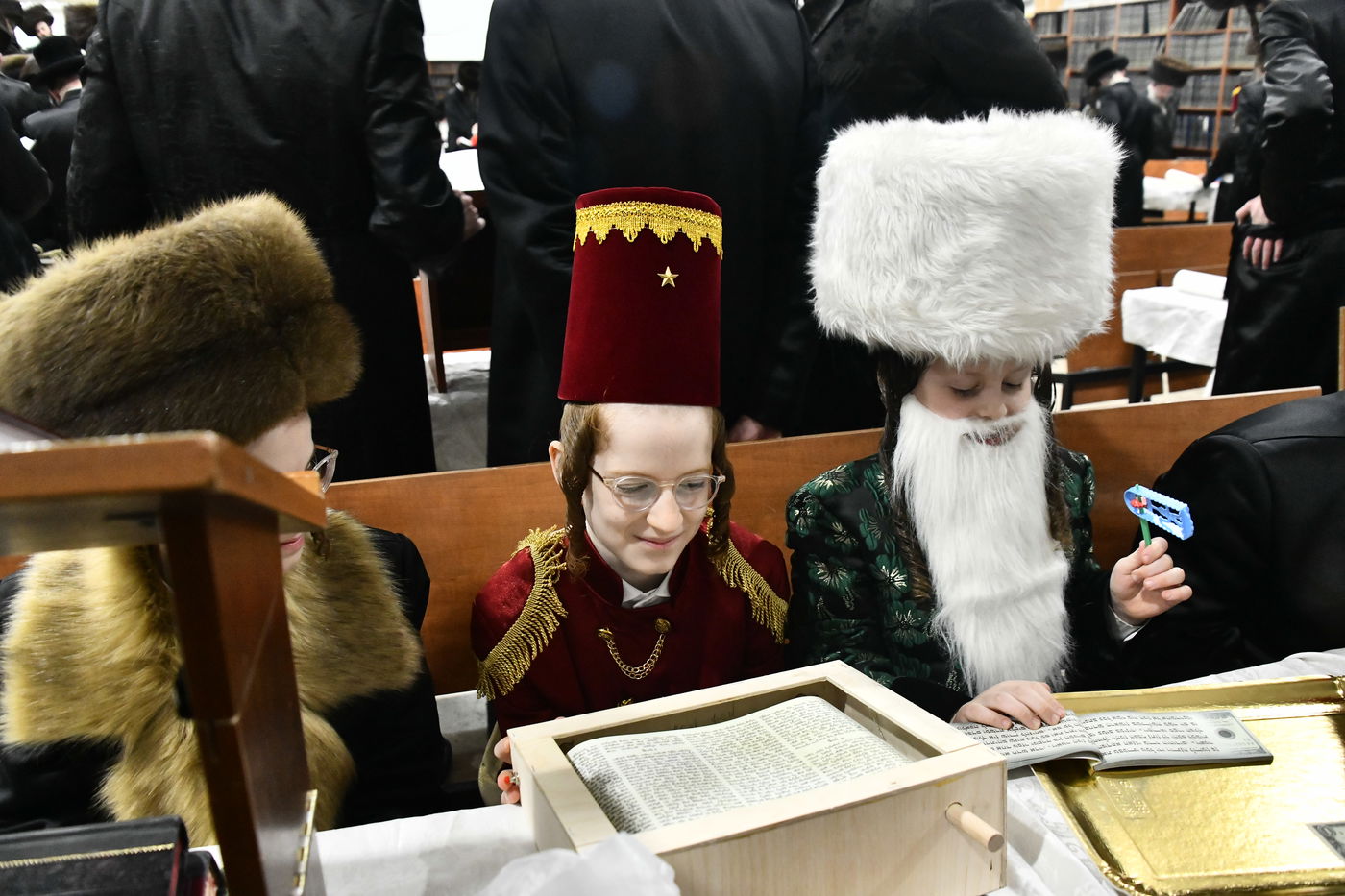 קריאת המגילה בחצה"ק מכנובקא בעלזא