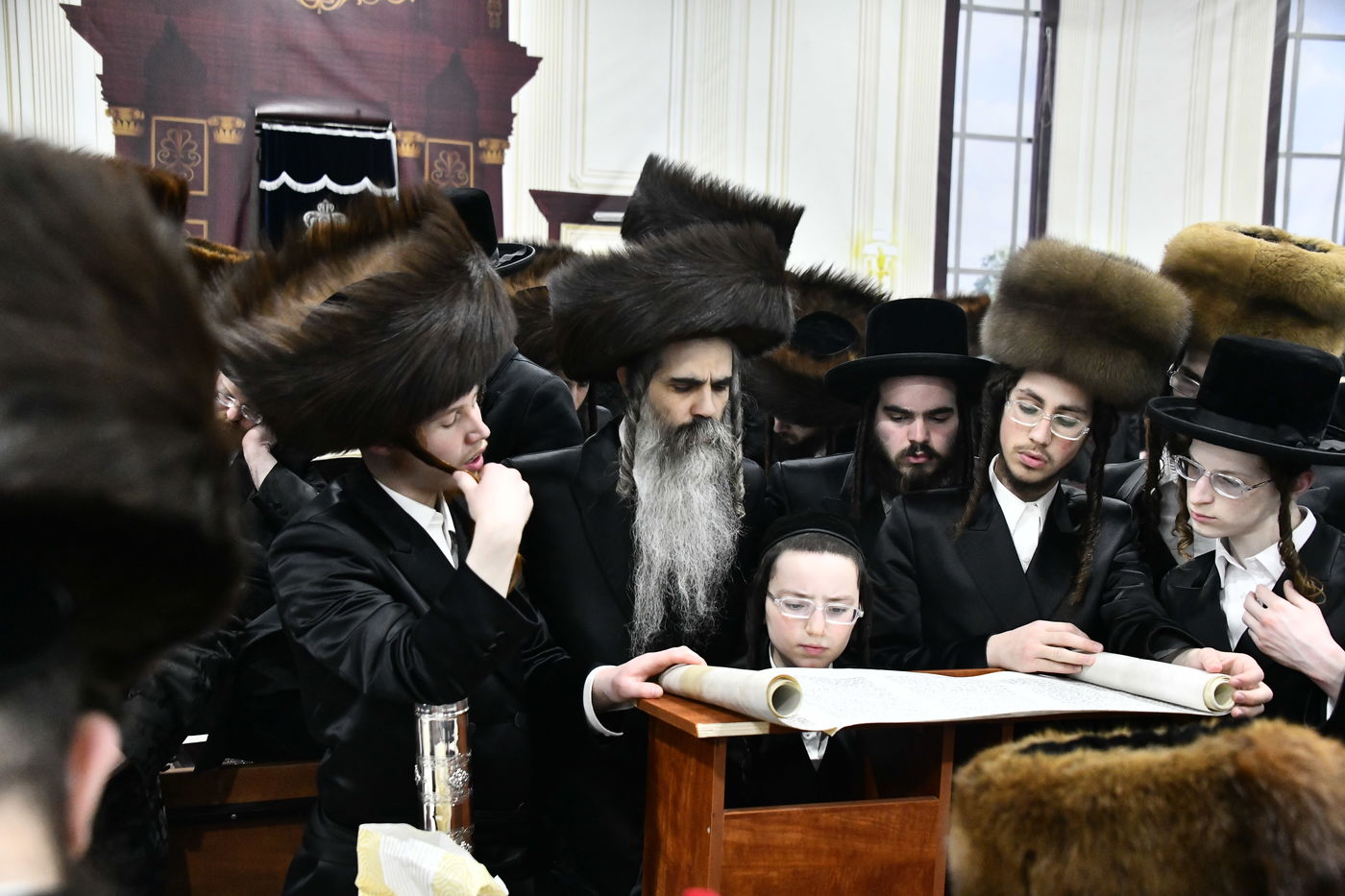 קריאת המגילה בחצה"ק מכנובקא בעלזא