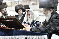 קריאת המגילה בחצה"ק מכנובקא בעלזא