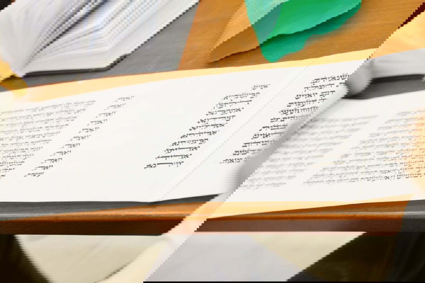 הגאון הרב יגאל כהן בקריאת המגילה