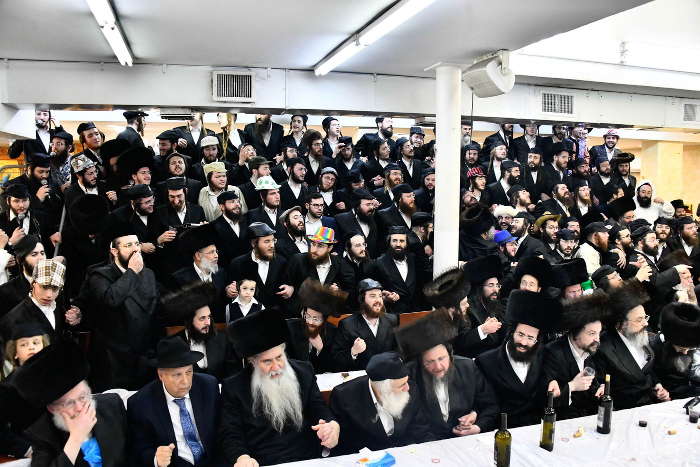 פורים בחצה"ק אלכסנדר