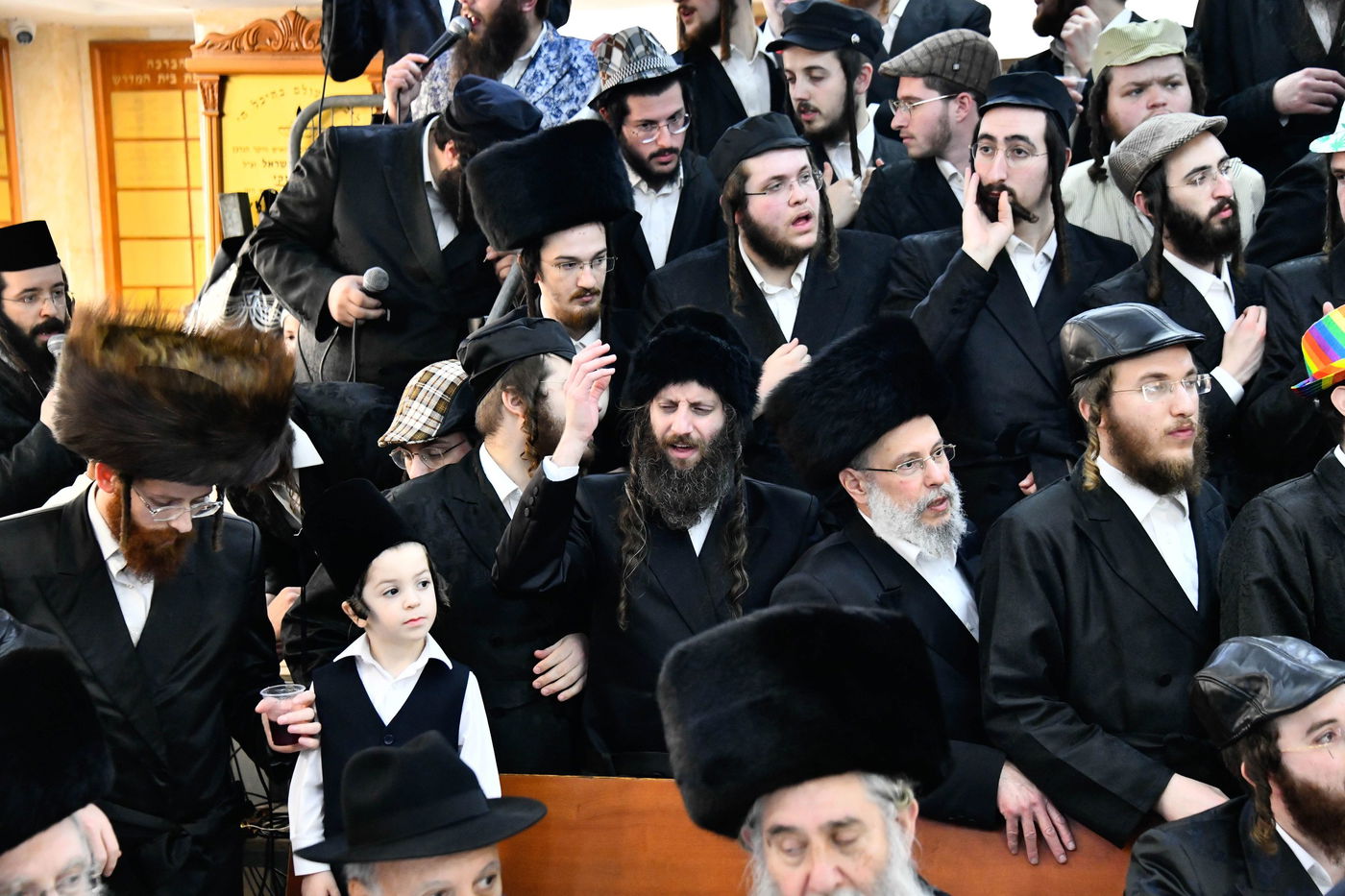 פורים בחצה"ק אלכסנדר