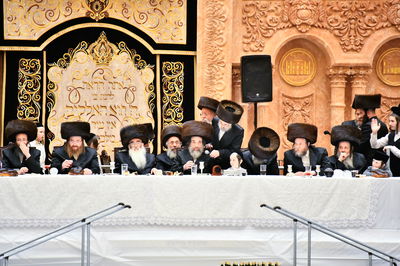 הרה"צ רבי חיים מאיר הגר, אב"ד ויז'ניץ