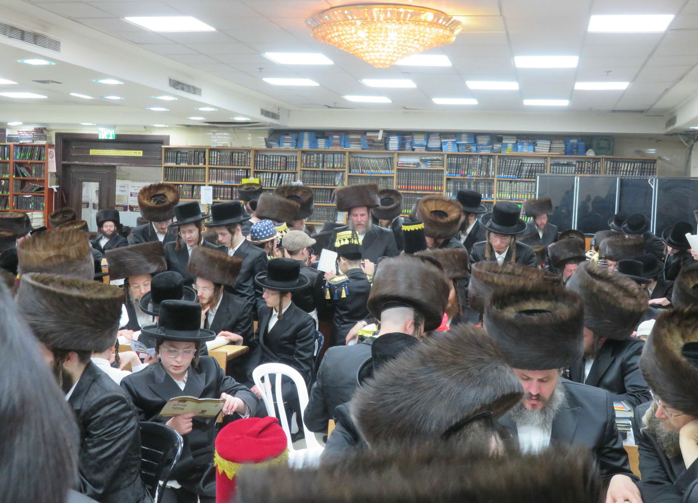 פורים אצל הגה"צ רבי יעקב מרדכי הגר אב"ד ויז'ניץ אלעד