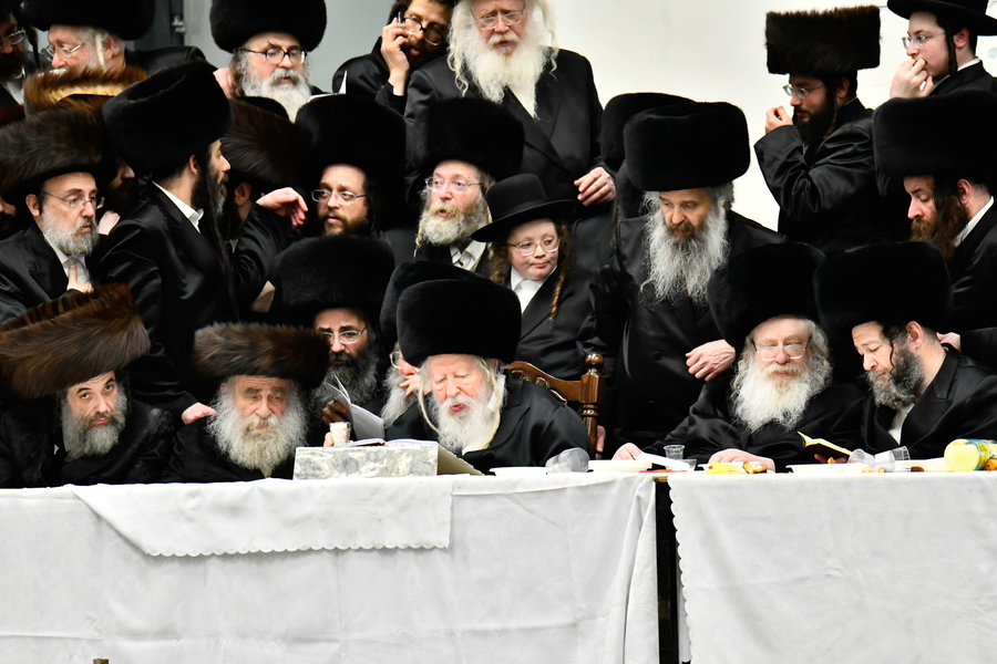 רבבות בטיש פורים בגור: בני האדמו