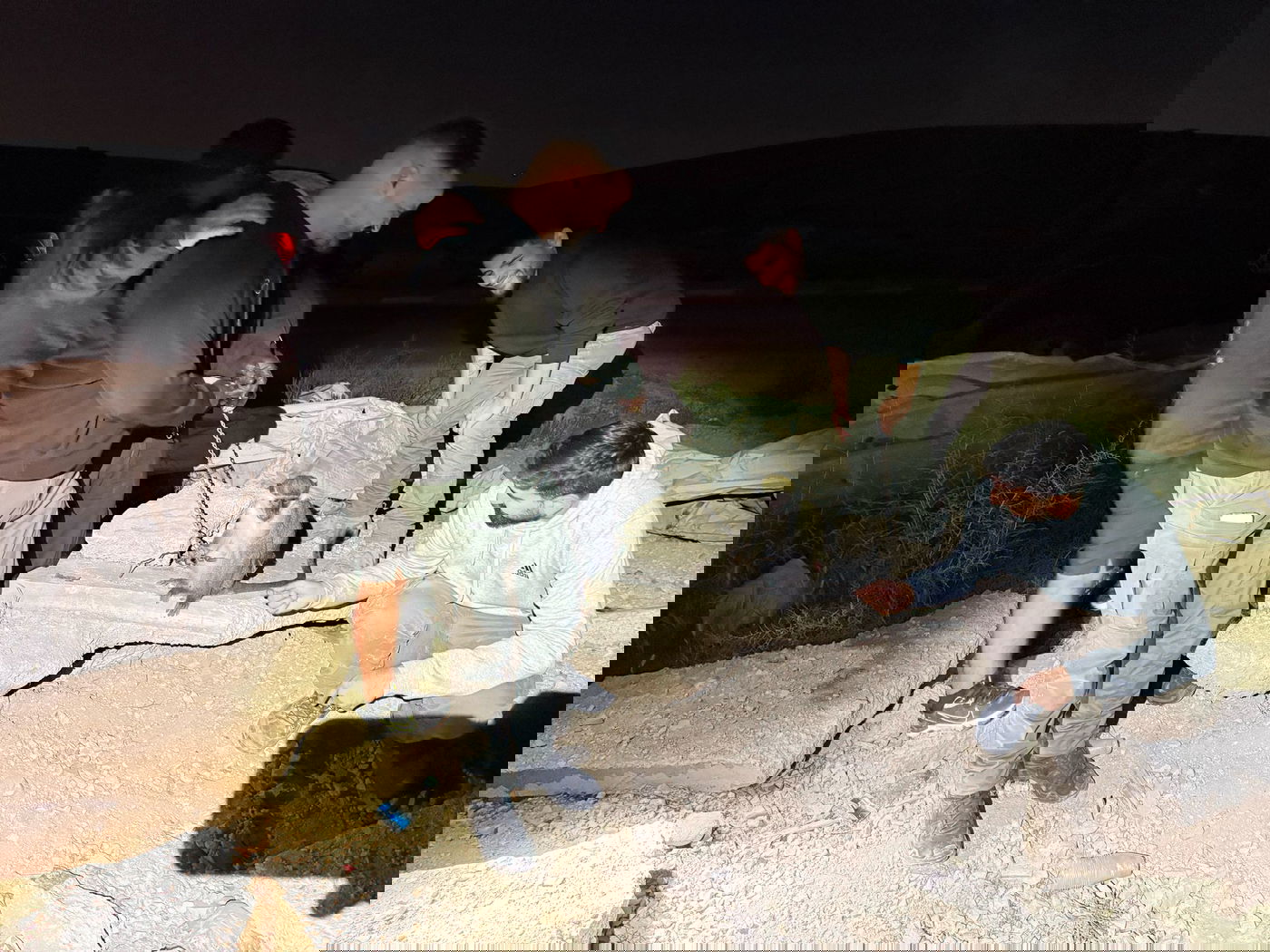 הקוף שאותר בנגב