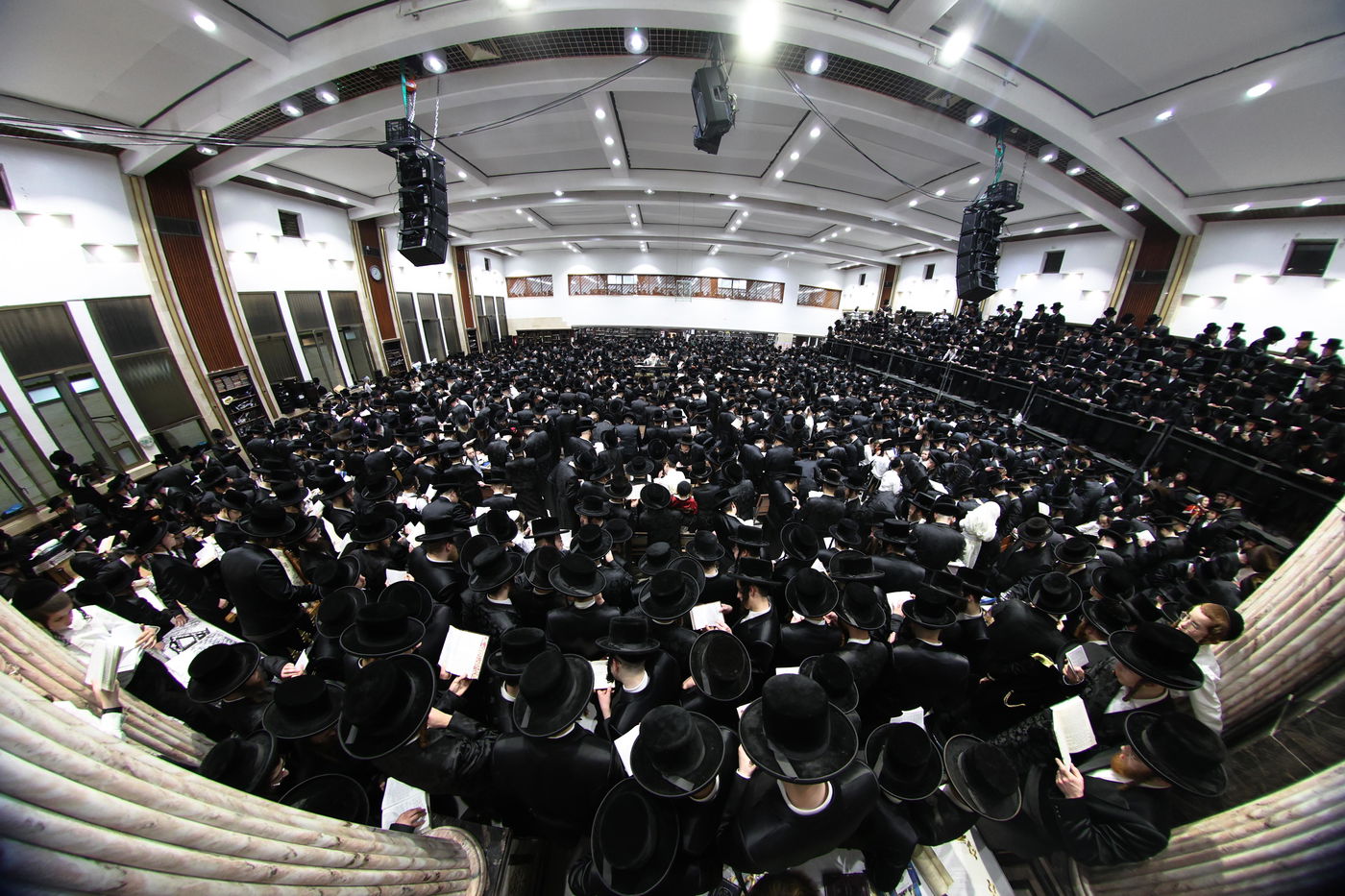 פורים בחצה"ק צאנז