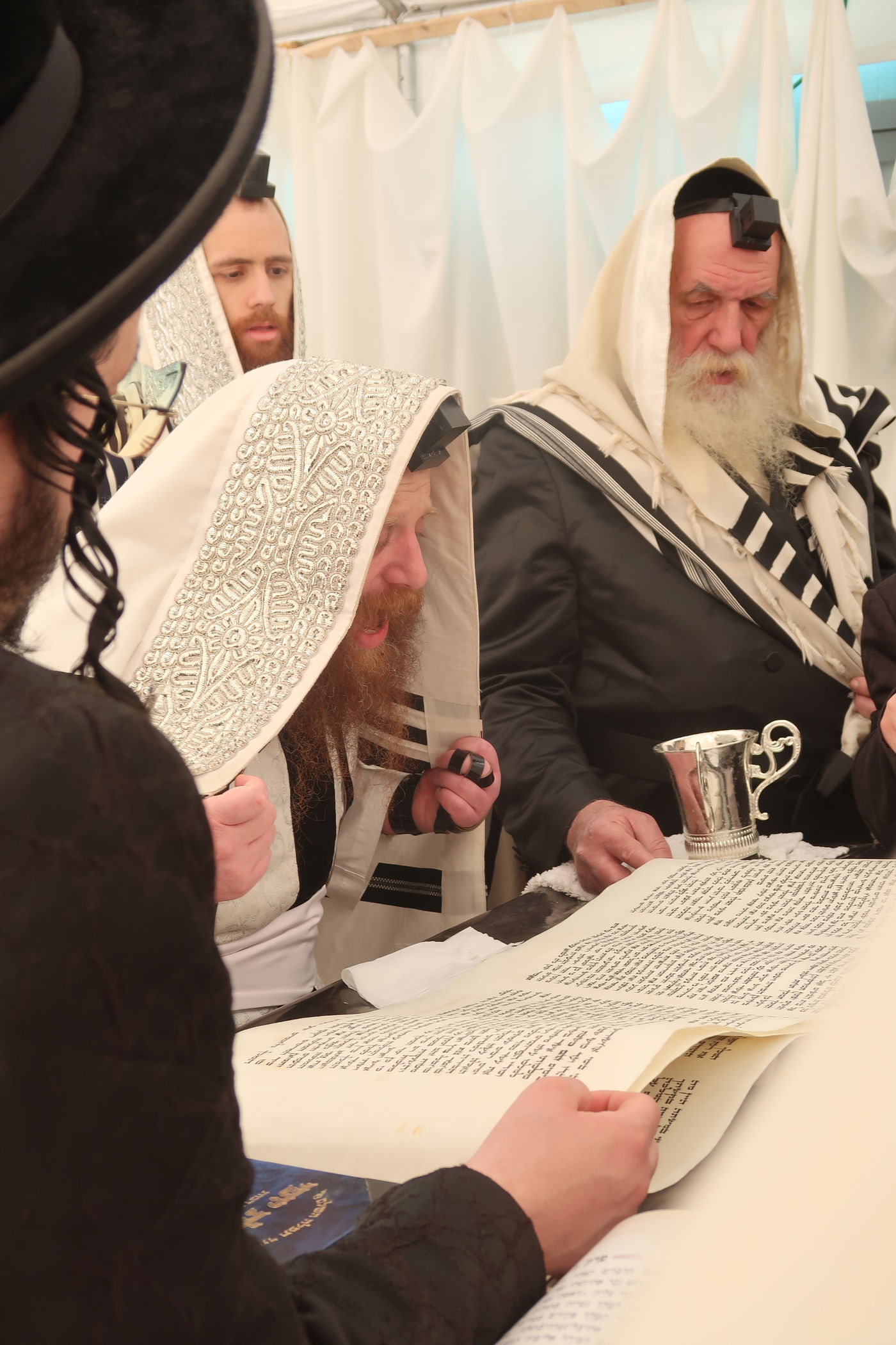 פורים בחצה"ק מיאלען