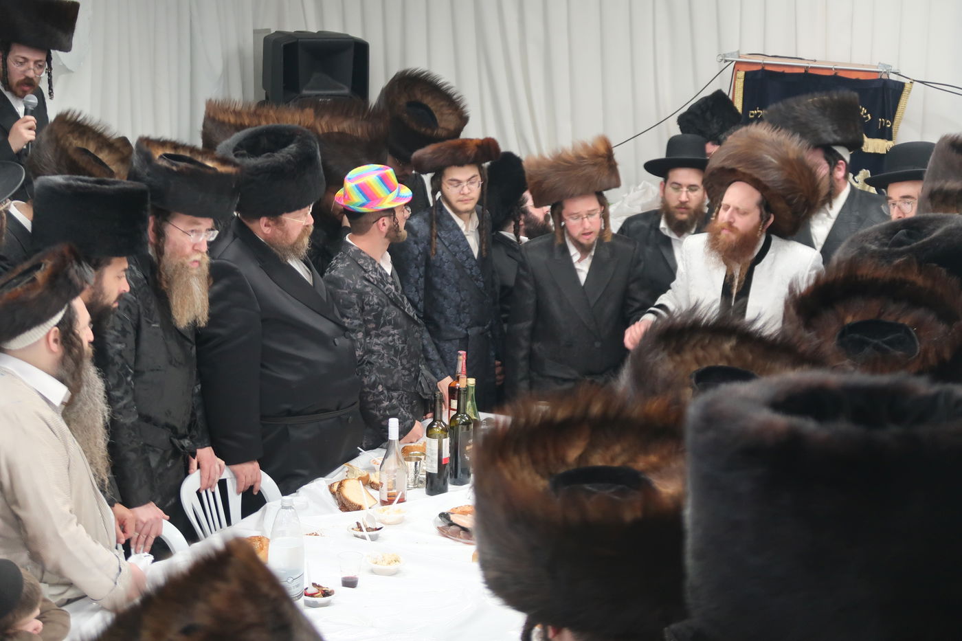 פורים בחצה"ק מיאלען