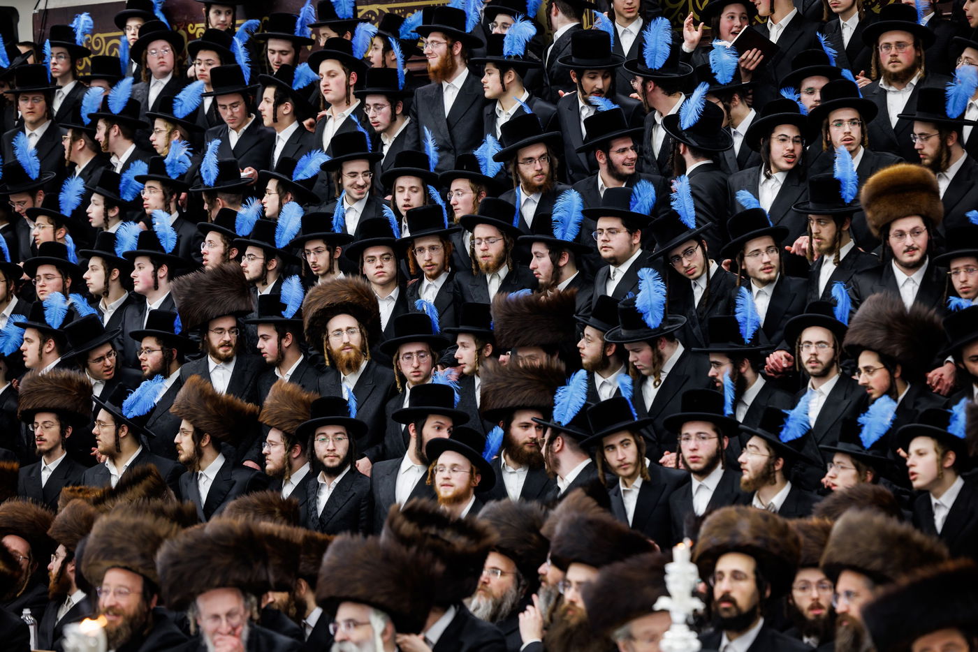 פורים בחצה"ק באבוב 45