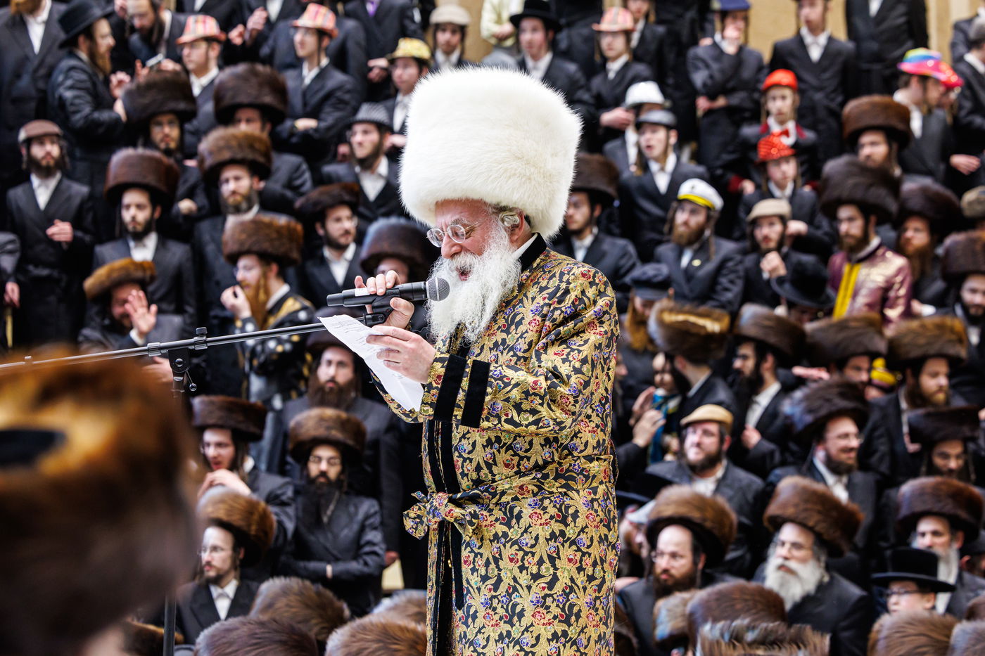 פורים בחצה"ק באבוב