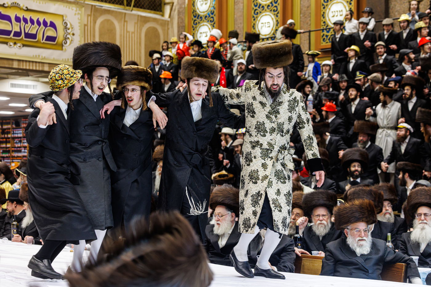 פורים בחצה"ק באבוב