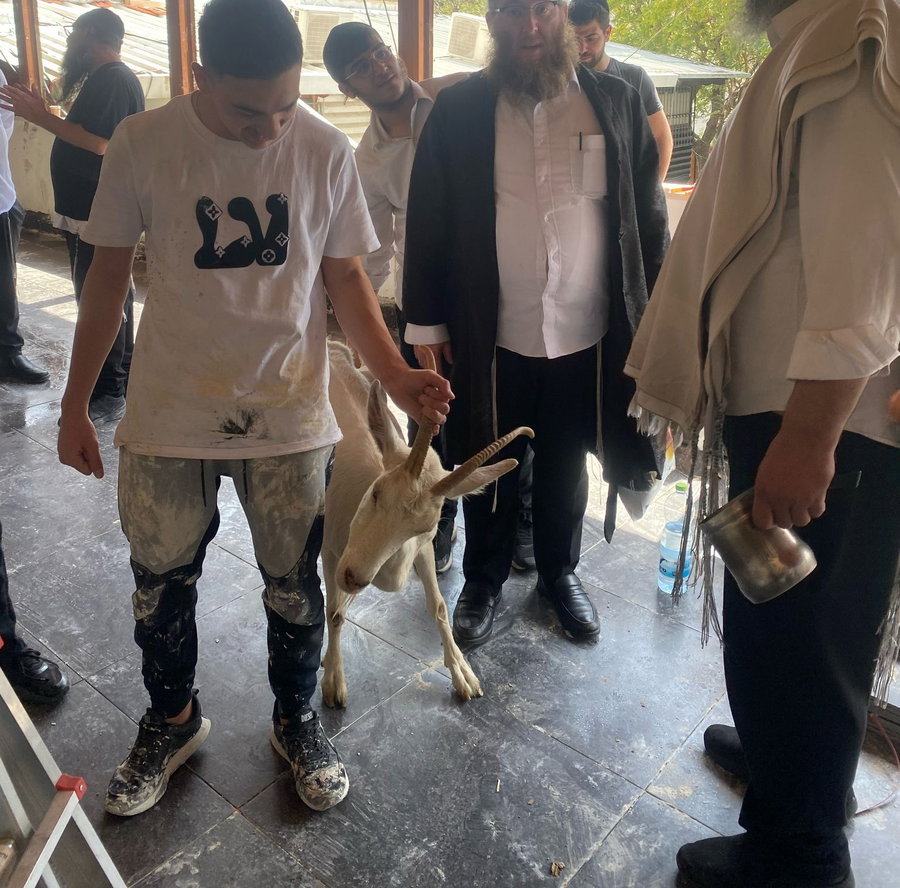שיפוץ מפואר במעונו של הגר"ד קוק בטבריה