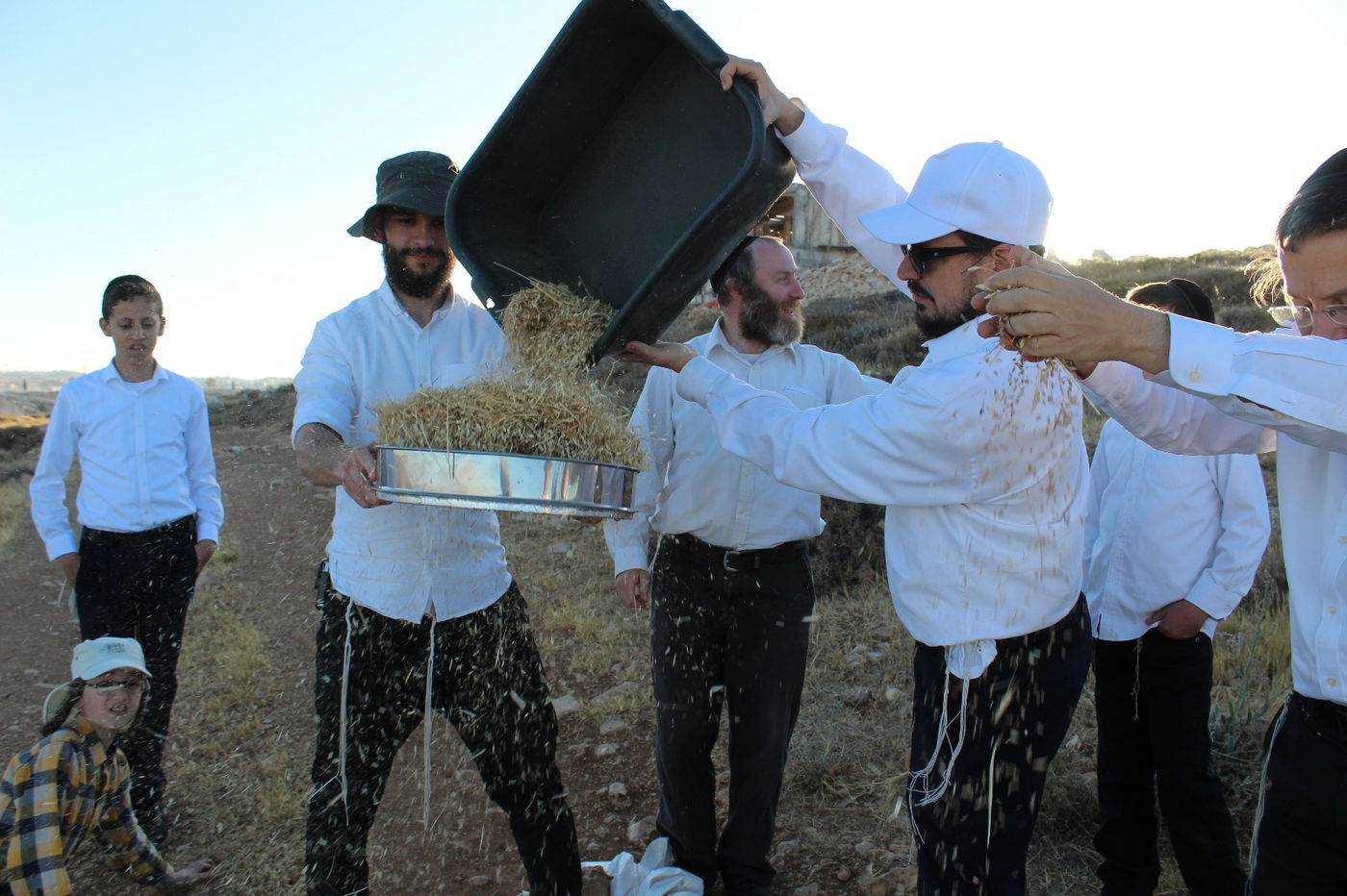 לראשונה: אברכים אפו מצות מזני חיטה עתיקה לרגישי גלוטן