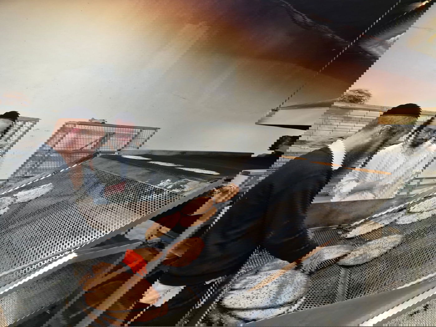 לראשונה: אברכים אפו מצות מזני חיטה עתיקה לרגישי גלוטן