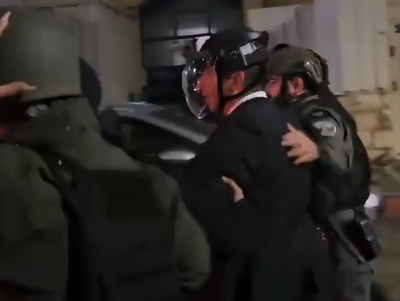 גרינברג מחולץ 