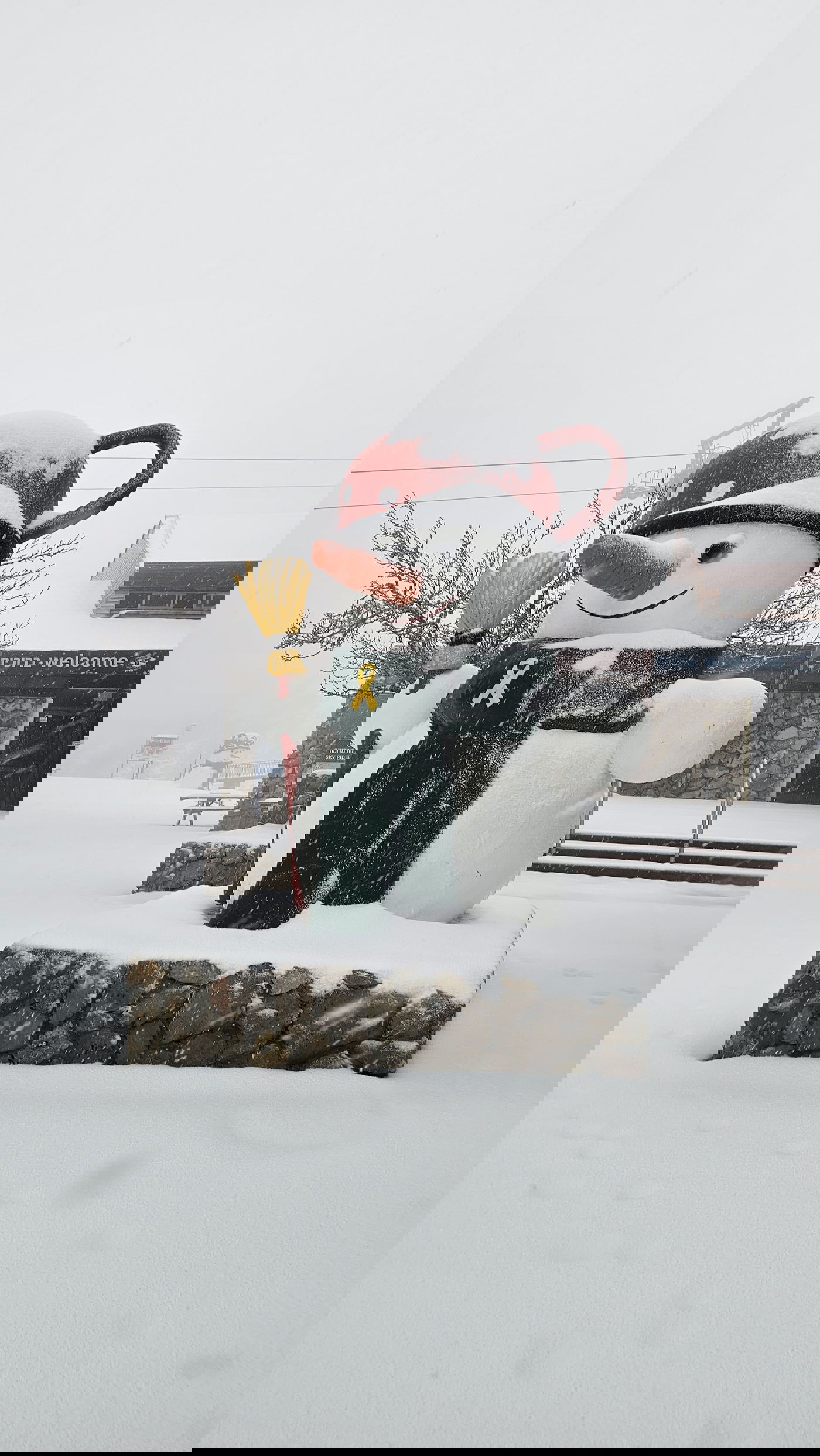 החרמון הבוקר