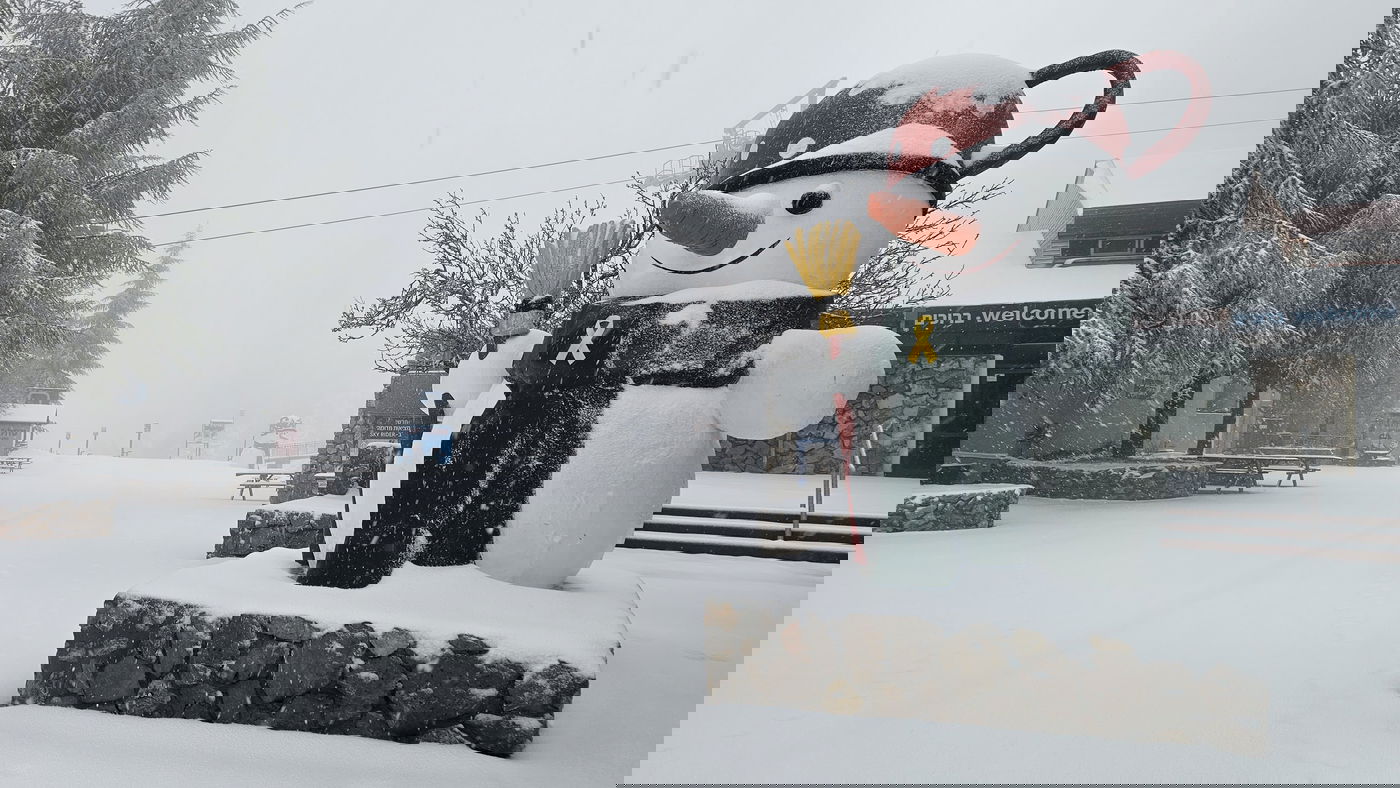 החרמון הבוקר