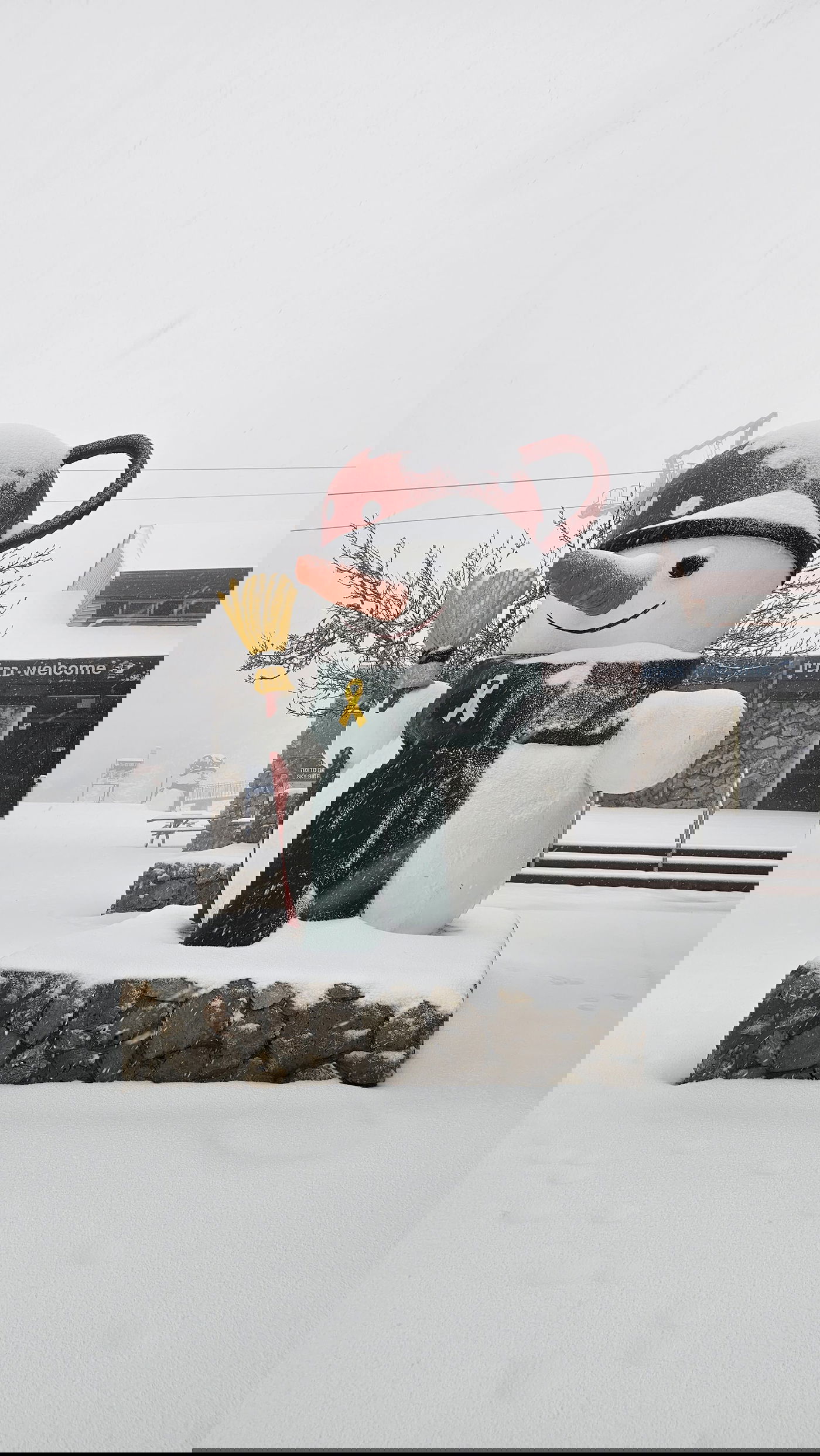 החרמון הבוקר