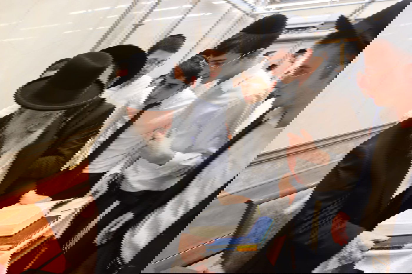 גלריית פורים מרהיבה