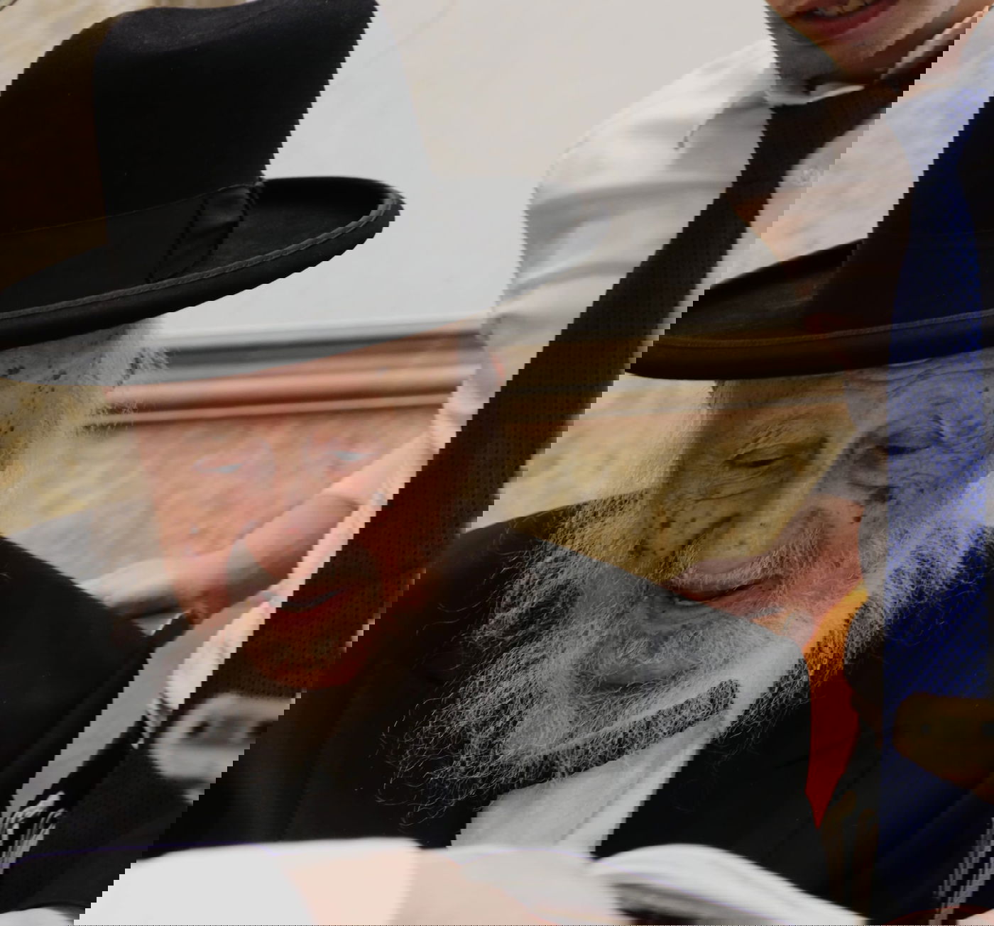 גלריית פורים מרהיבה