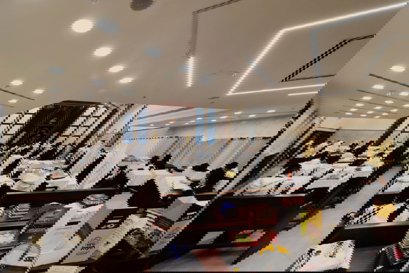 גלריית פורים מרהיבה