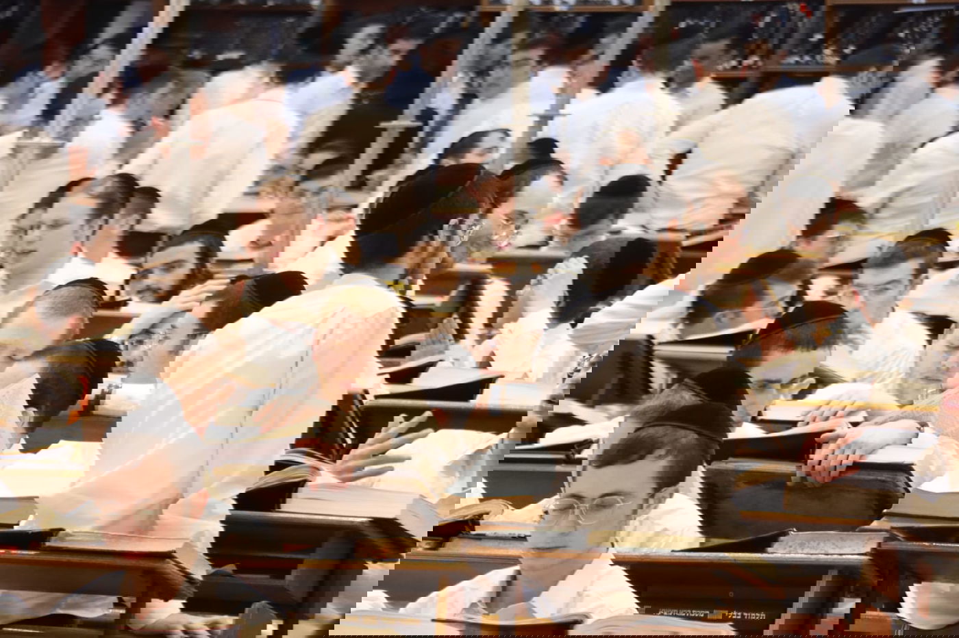 גלריית פורים מרהיבה