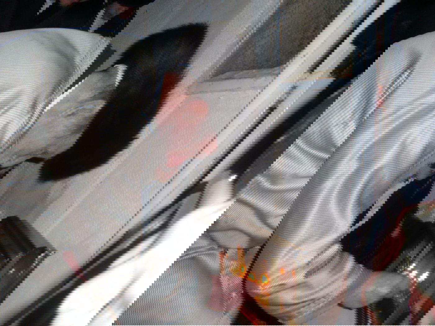 מראות חייו של הגה"צ רבי ישראל גרוסמן זצ"ל