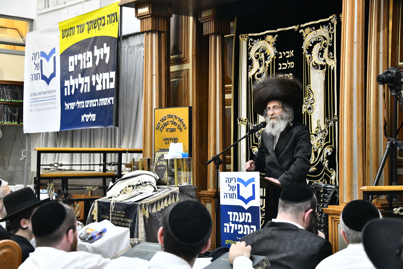 ההמונים זעקו ודמעו לישועה, בשרשרת מעמדות הסגולה של רינה של תורה סביב שלושת ימי הפורים