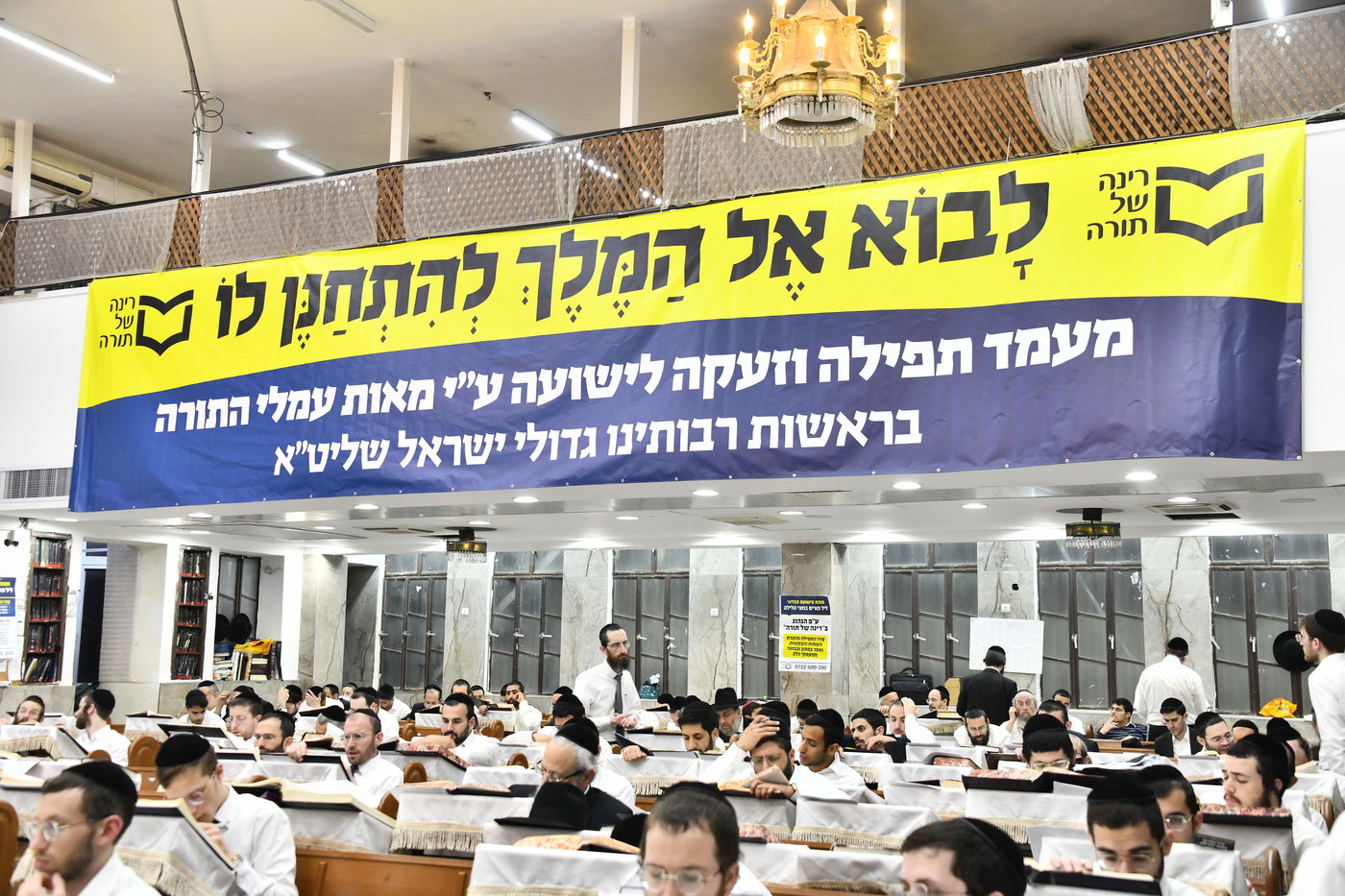 ההמונים זעקו ודמעו לישועה, בשרשרת מעמדות הסגולה של רינה של תורה סביב שלושת ימי הפורים