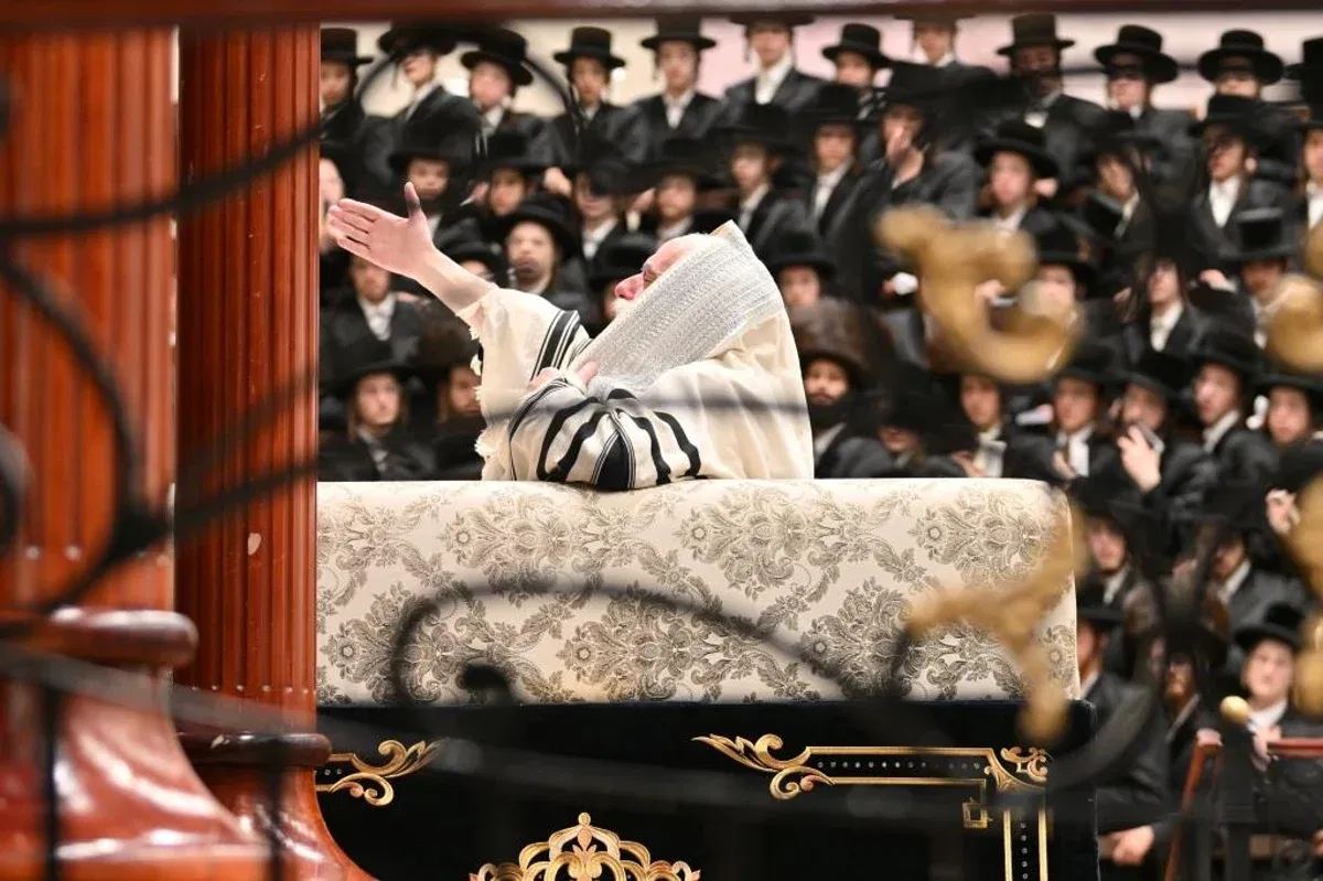 סליחות בויז'ניץ 