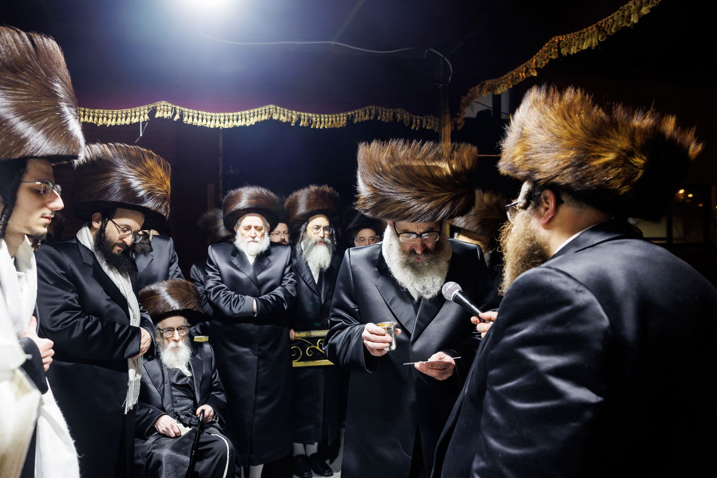 שמחת נישואי נכדת האדמו"ר מבאבוב 45