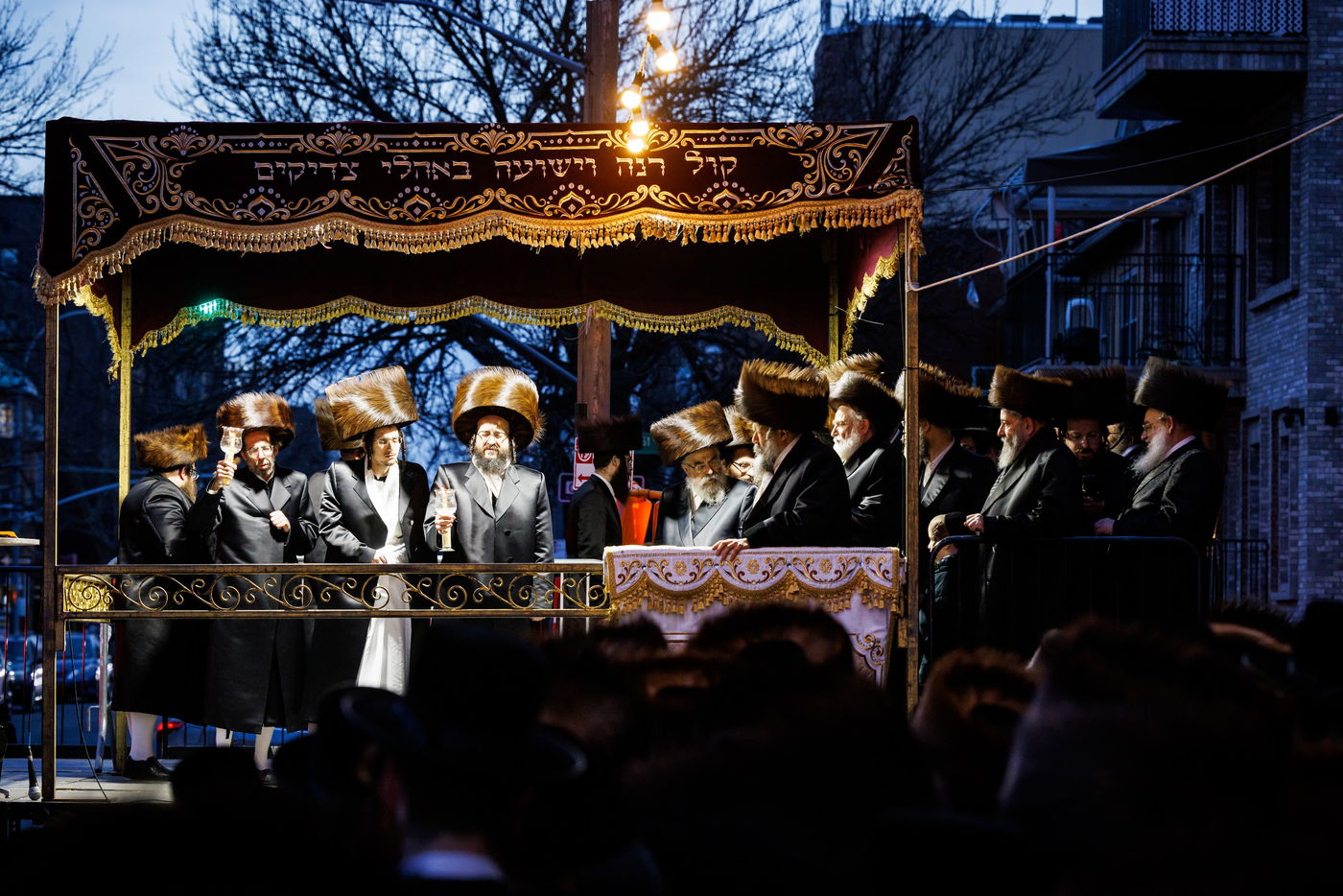 שמחת נישואי נכדת האדמו"ר מבאבוב 45