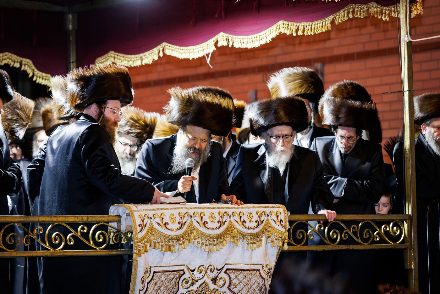 שמחת נישואי נכדת האדמו"ר מבאבוב 45