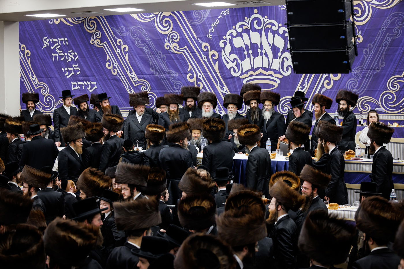 שמחת נישואי נכדת האדמו"ר מבאבוב 45