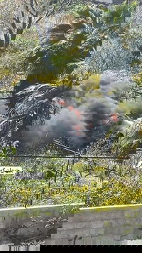 כלי רכב שהותקף בעזה