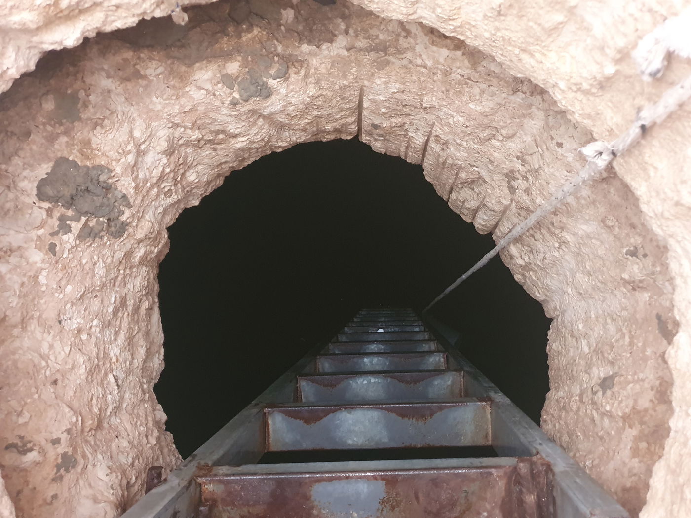 מצפה עילאי צעיר