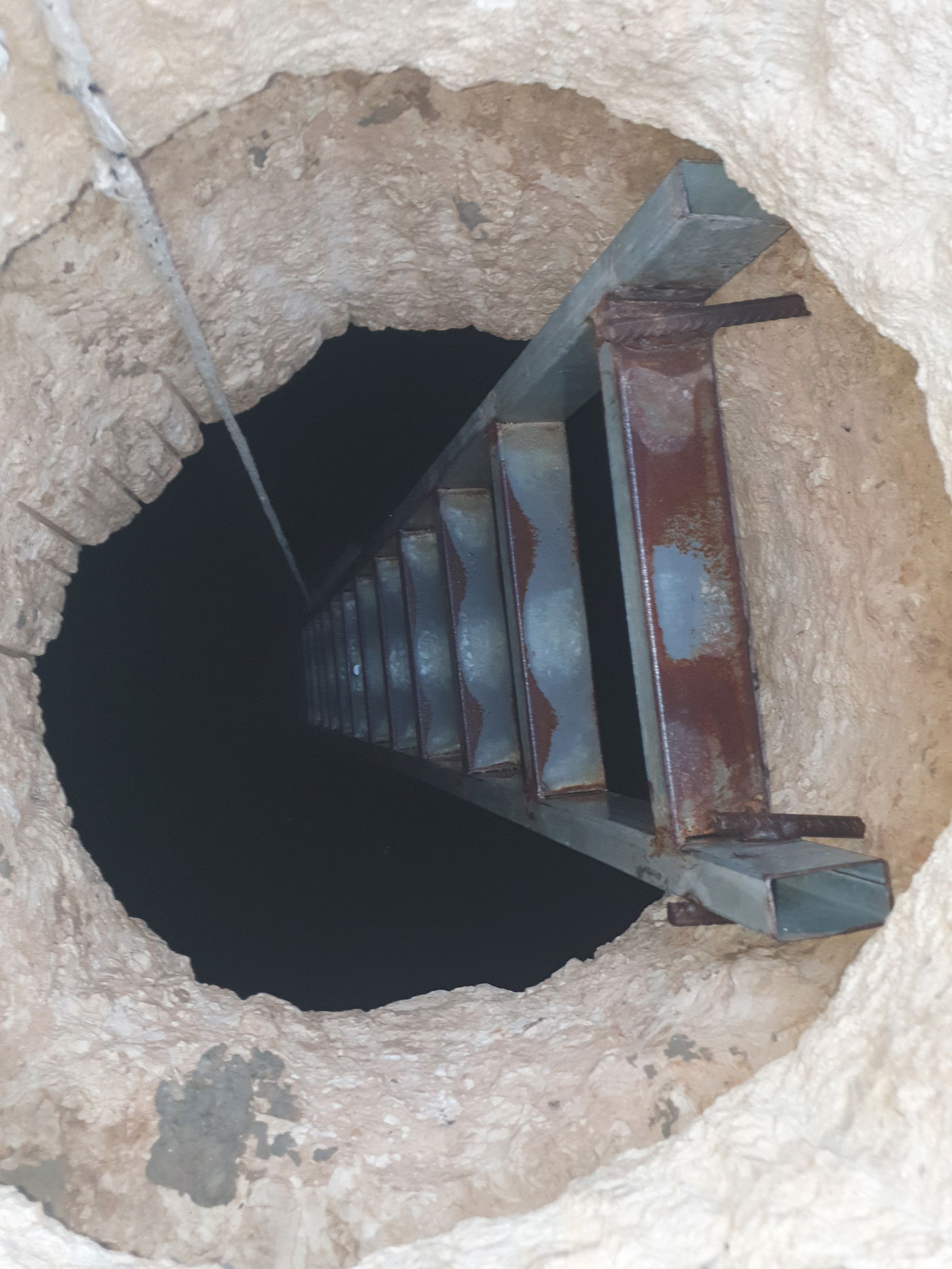 מצפה עילאי צעיר